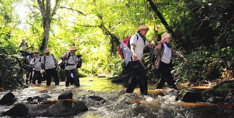 tracking hutan