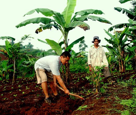 Outbound edukasi Berkebun