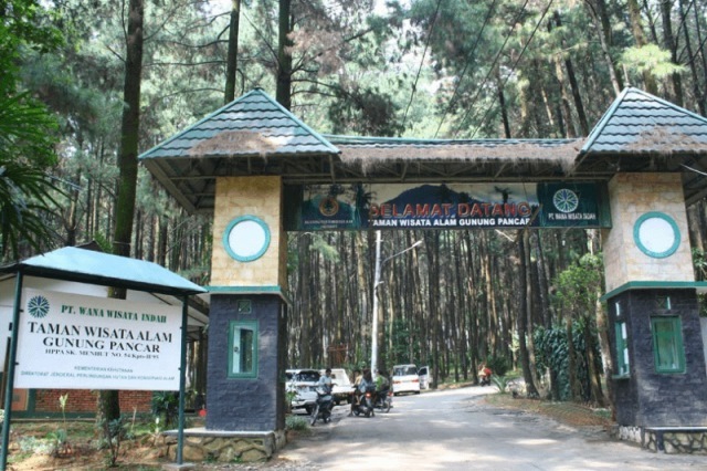 tempat gathering di sentul gunung pancar